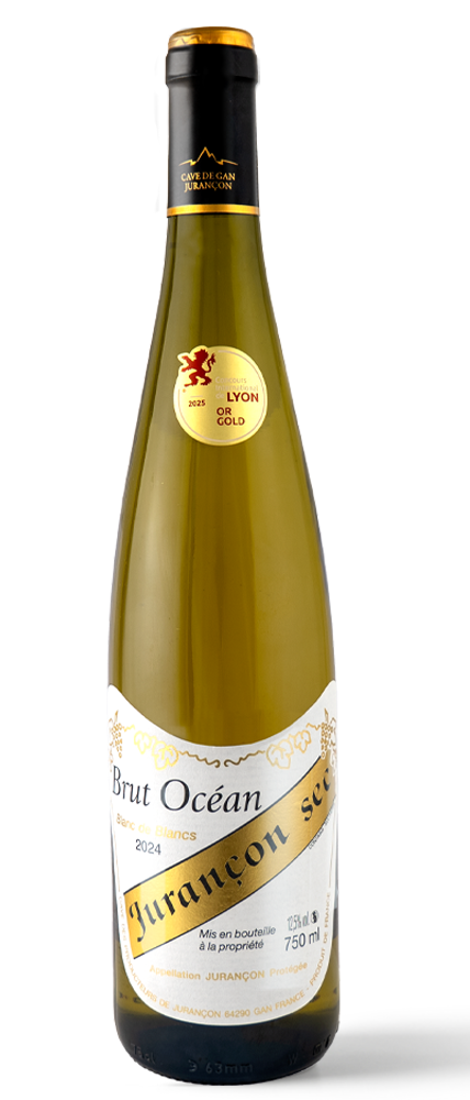 Brut Océan 2024