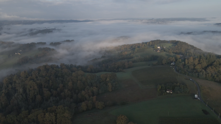 Le Vignoble de l'AOP Jurançon